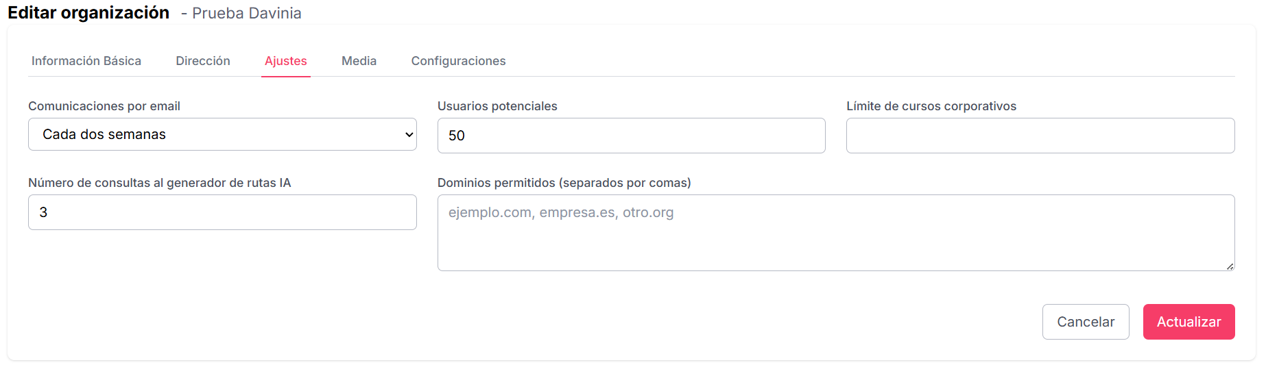 Pestaña de Ajustes en la Organización